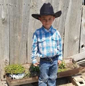 Meet your Posher, Damian